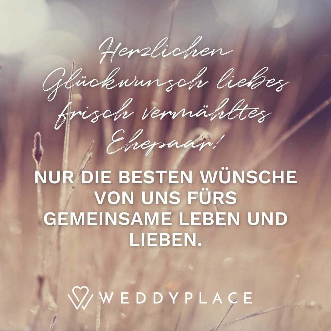 Hochzeitsw nsche 70 Sch ne Spr che Und Zitate WeddyPlace Hochzeitsw nsche 70 Sch ne Spr che Und Zitate WeddyPlace
