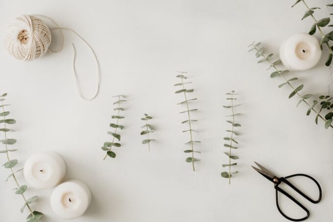Eukalyptusblätter und Scheren auf einem weißen Tisch.