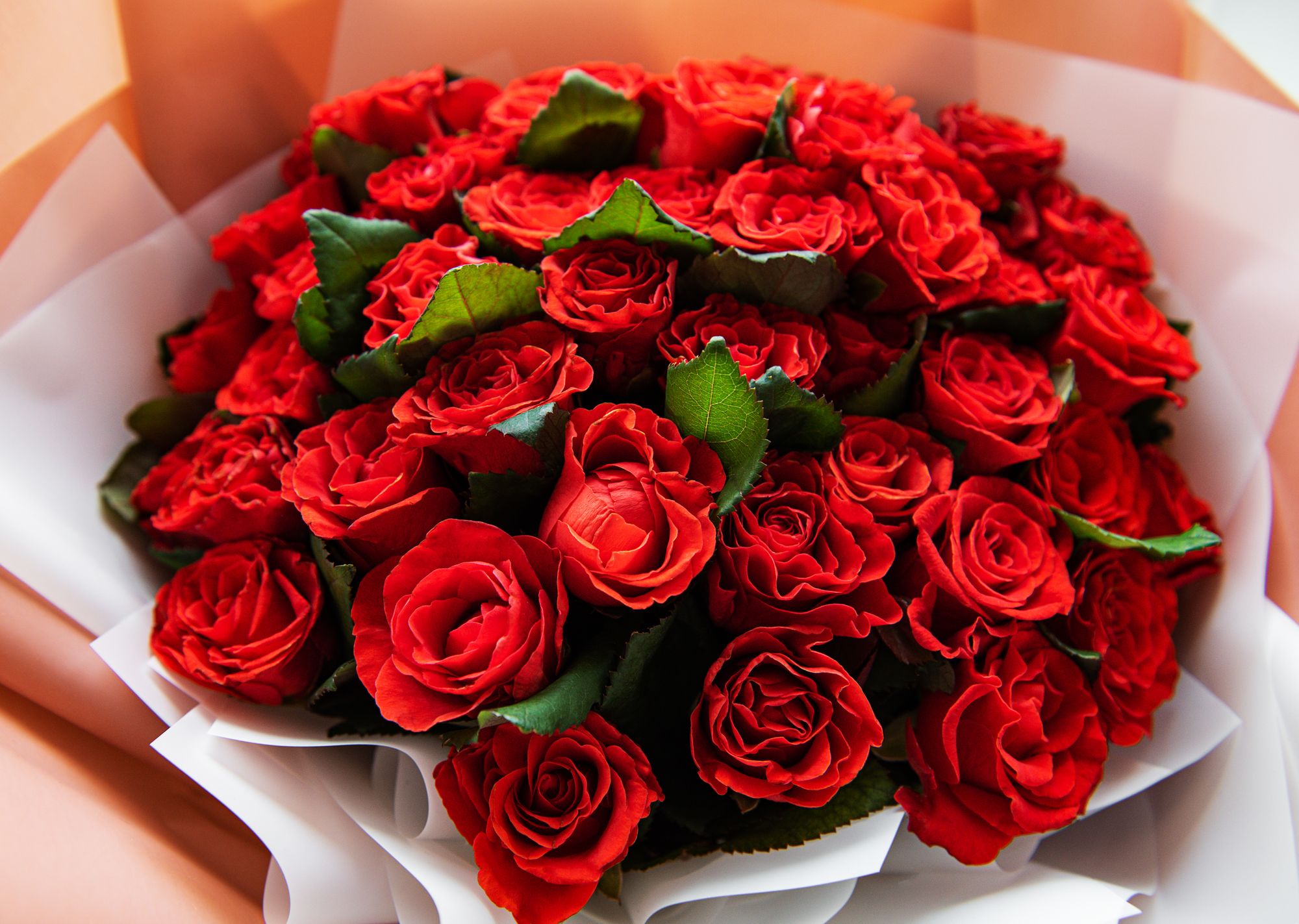 Rote Rosen sind Pflicht zur Hochzeit
