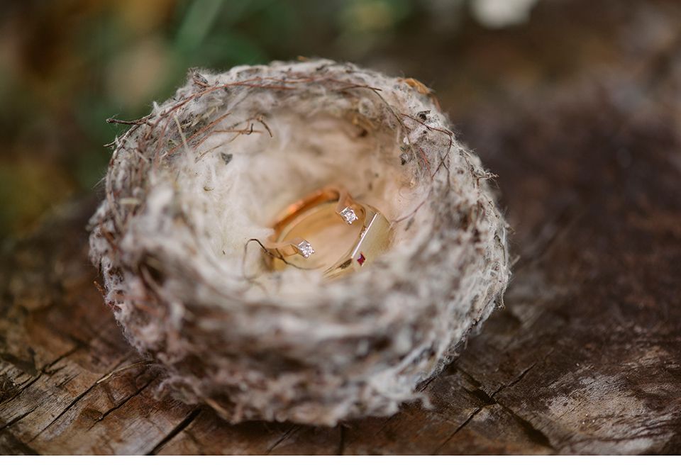 Eheringe in Nest