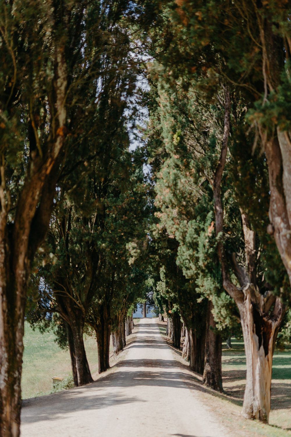 Eine von Bäumen gesäumte unbefestigte Straße in der Toskana.