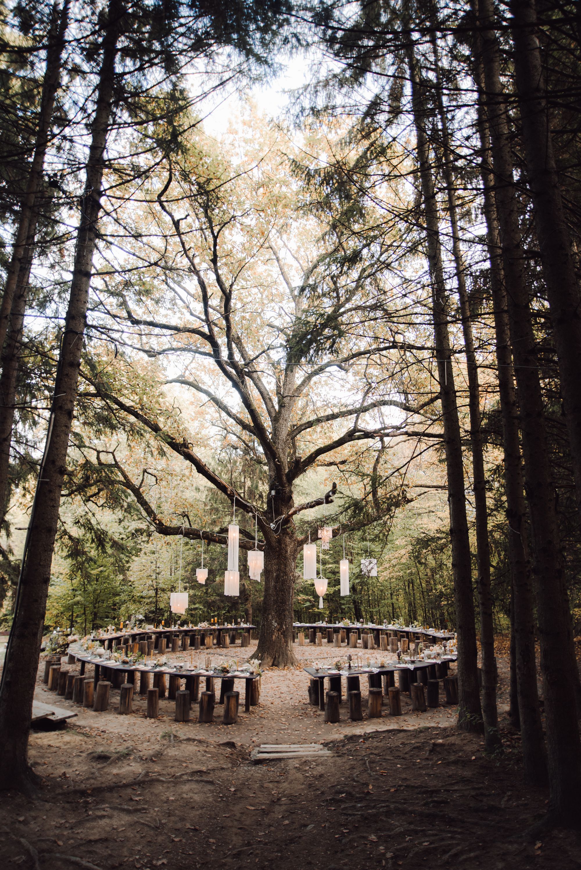 Der Wald bietet tolle Hochzeitslocations
