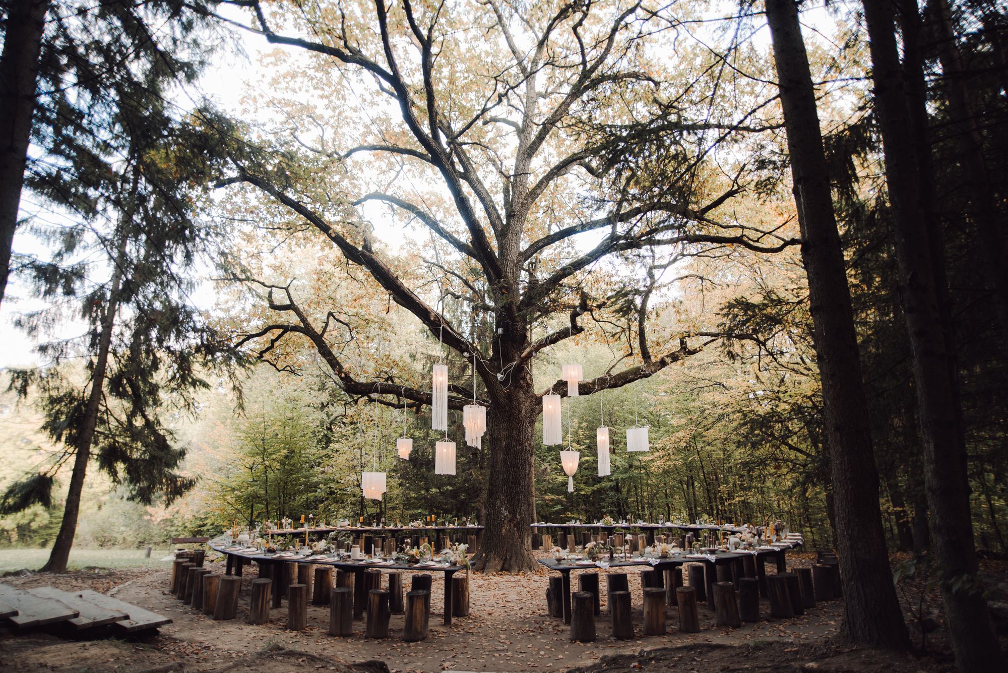 Waldhochzeit feiern – 26 tolle Ideen und Tipps zum traumhaften Heiraten im Wald