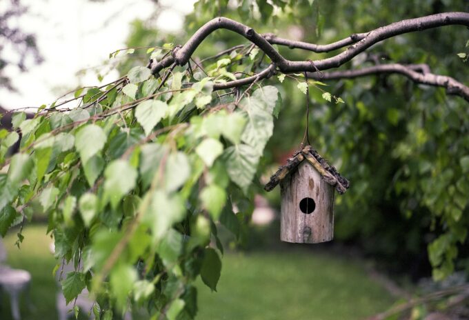 Ein Vogelhaus, das an einem Ast hängt.