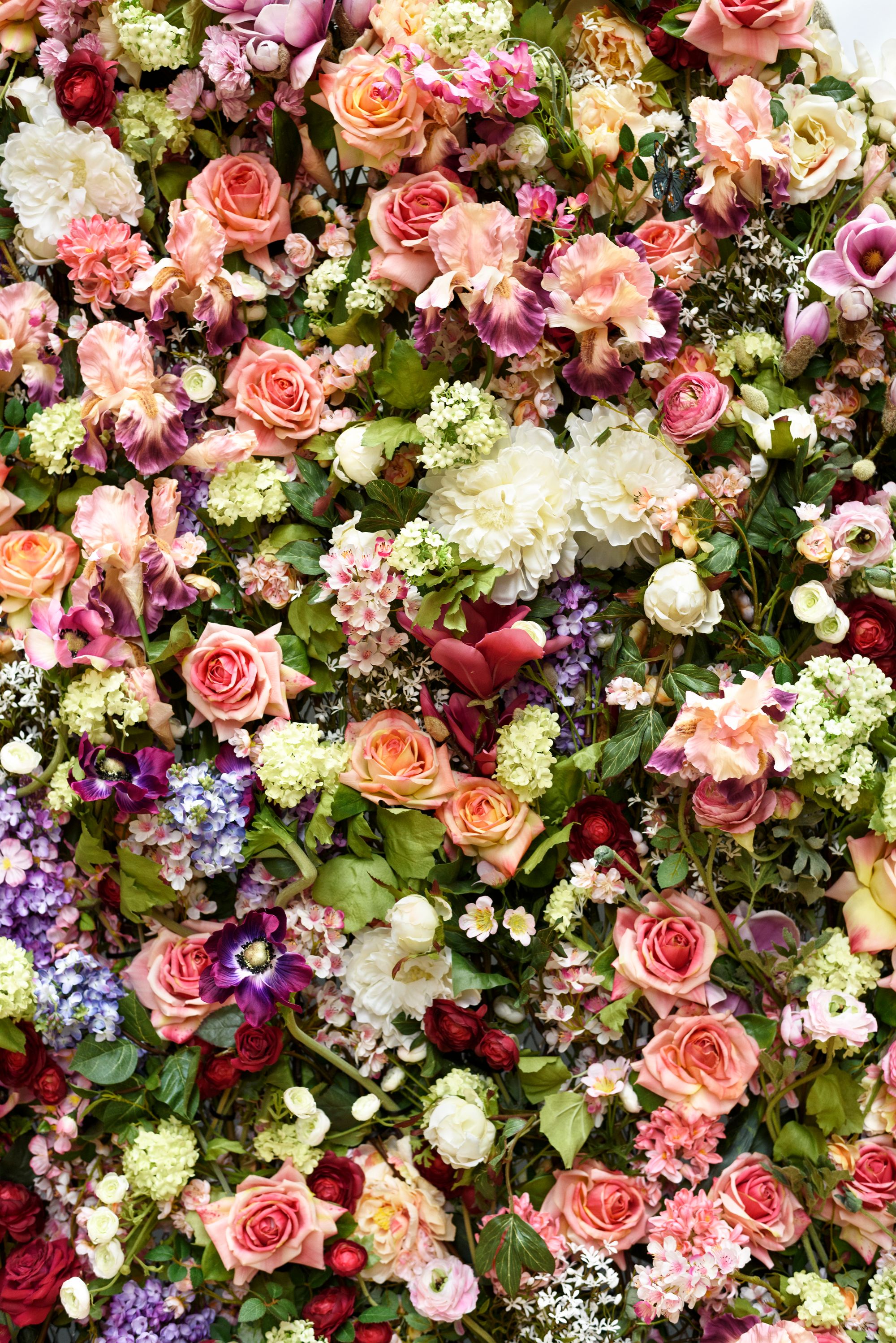 Rosenwand als Hintergrund für Fotos zur Rosenhochzeit