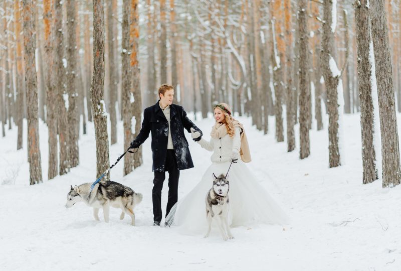 Das Brautpaar geht mit ihren Hunden im Schnee spazieren.