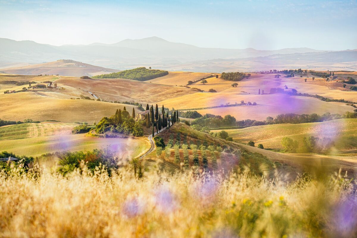 Gäste erleben einen Landausflug.