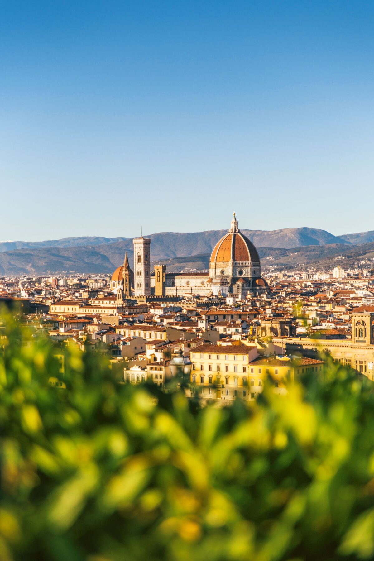 Gäste erleben einen Landausflug und entdecken Sehenswürdigkeiten.