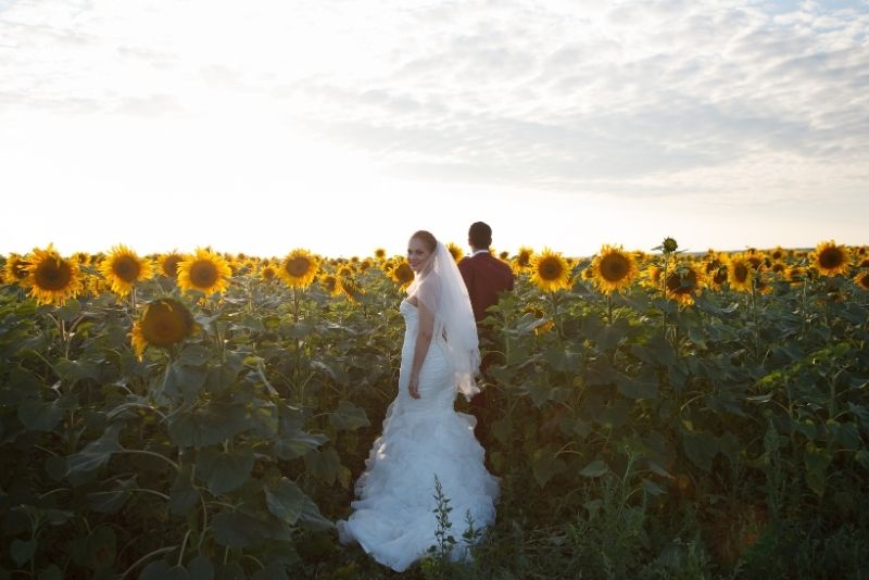 Das Brautpaar befindet sich in einem Sonnenblumenfeld.