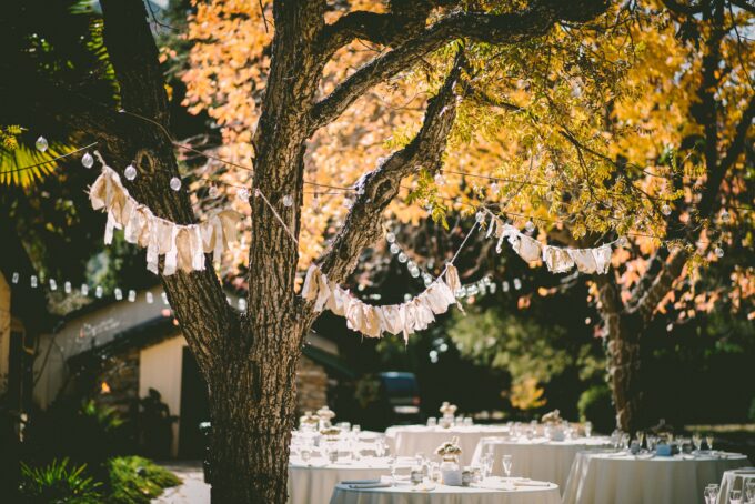 Eine Hochzeitsfeier unter einem Baum.