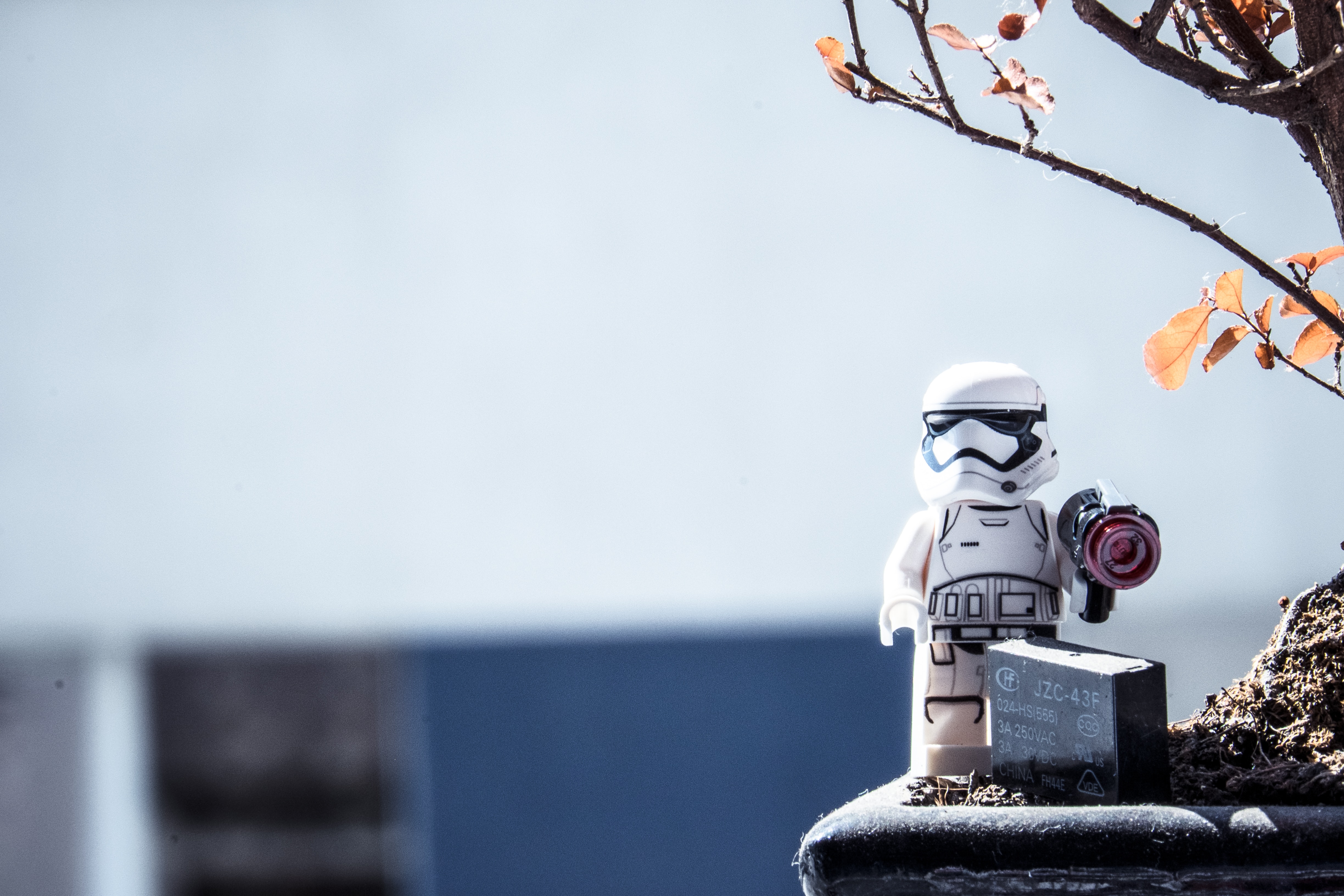 Ein Star-Wars-Sturmtruppler sitzt auf einer Pflanze.