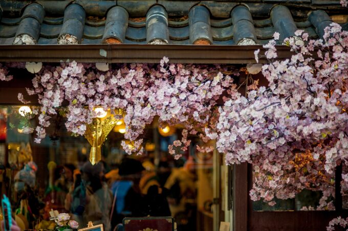 Ein Laden mit vielen Kirschblüten.