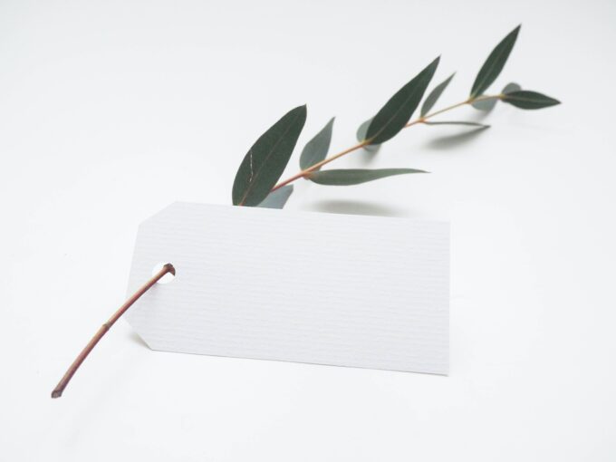 Ein Eukalyptuszweig mit einem weißen Etikett darauf.