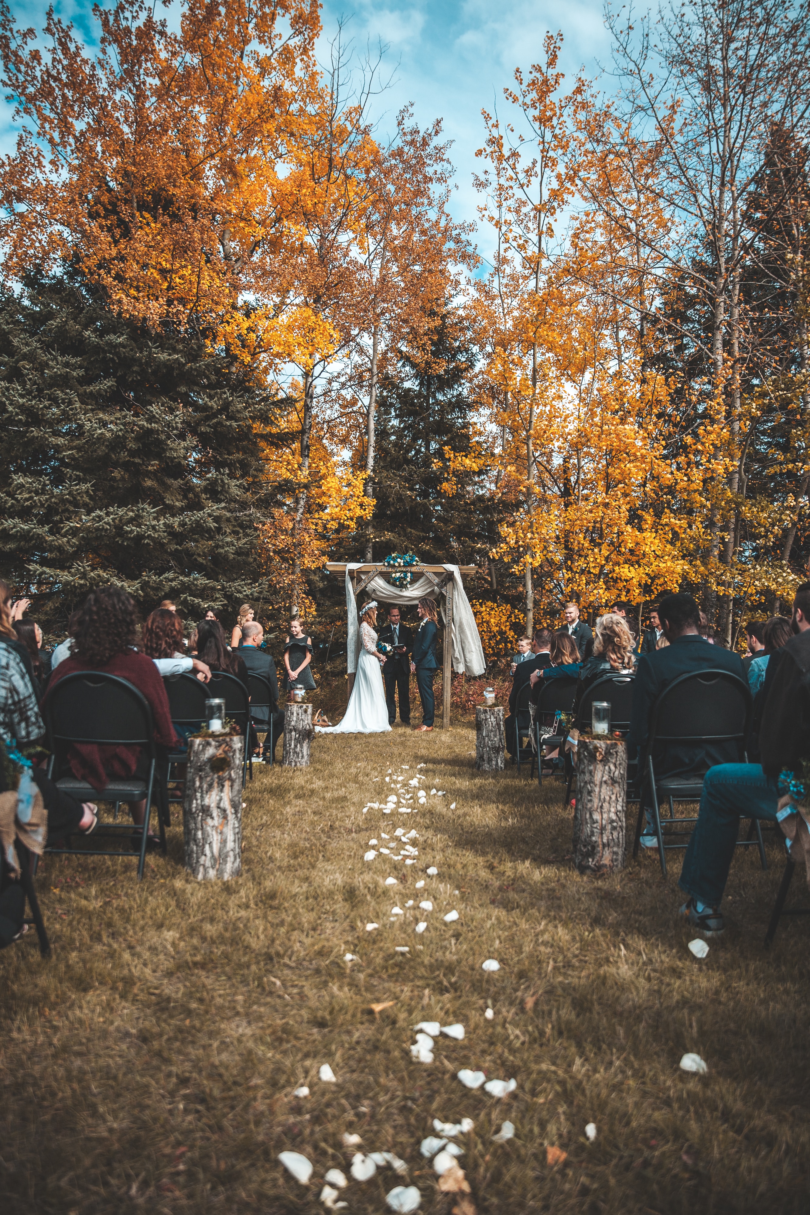 Eine Hochzeitszeremonie im Herbst mit Bäumen im Hintergrund.