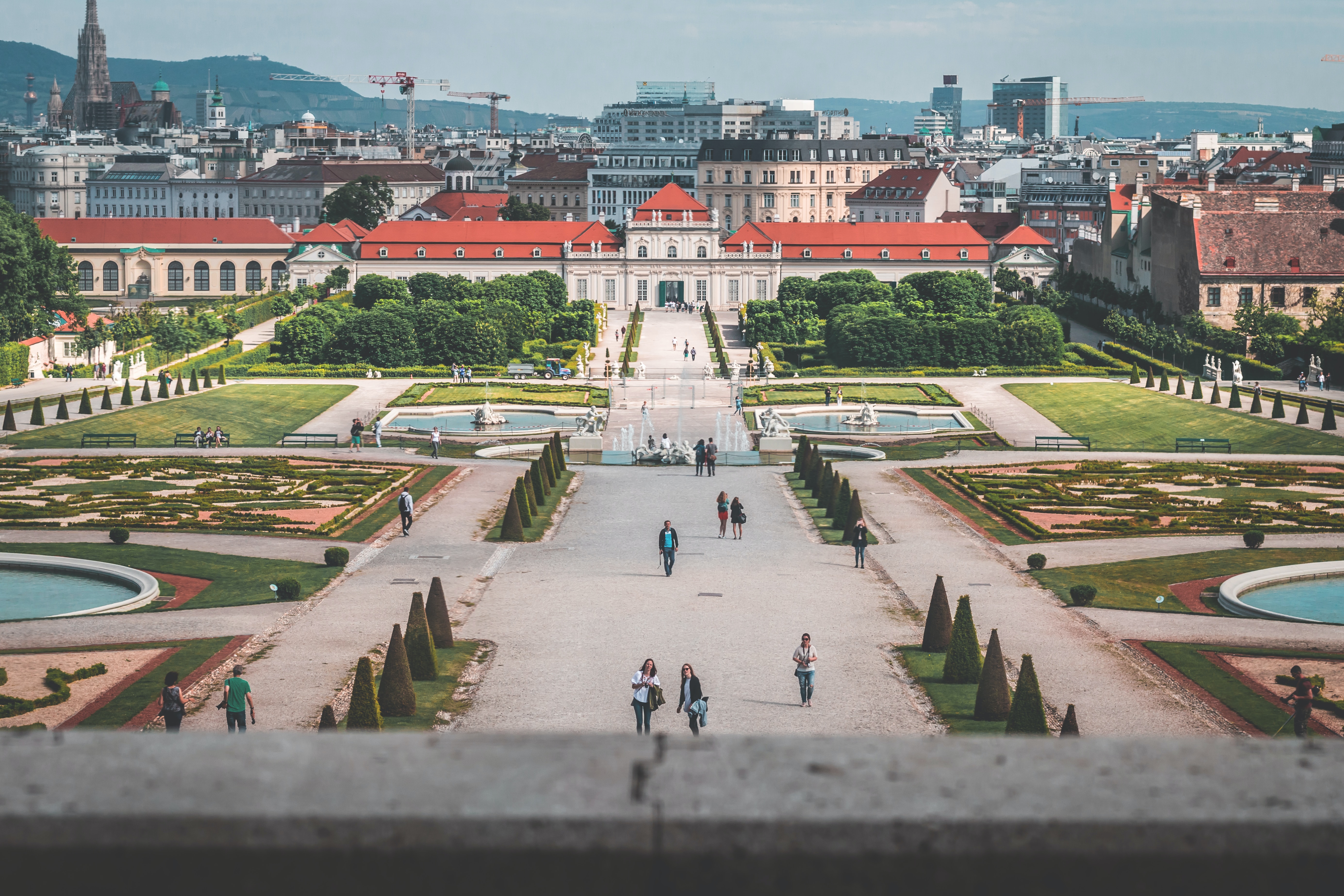 Ein Blick auf eine Stadt aus einem Park.