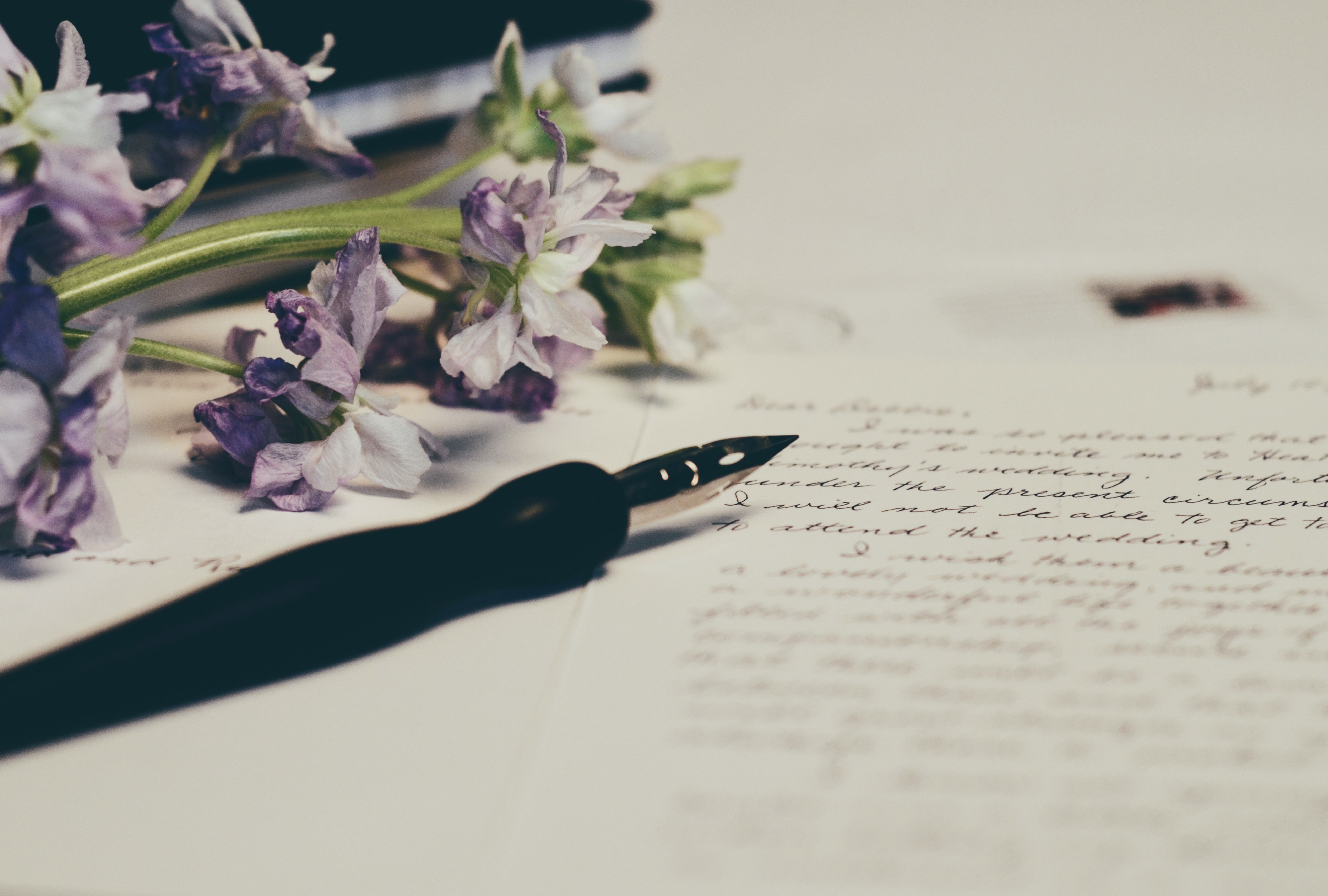 Ein Füllfederhalter liegt neben einem Brief und Blumen.