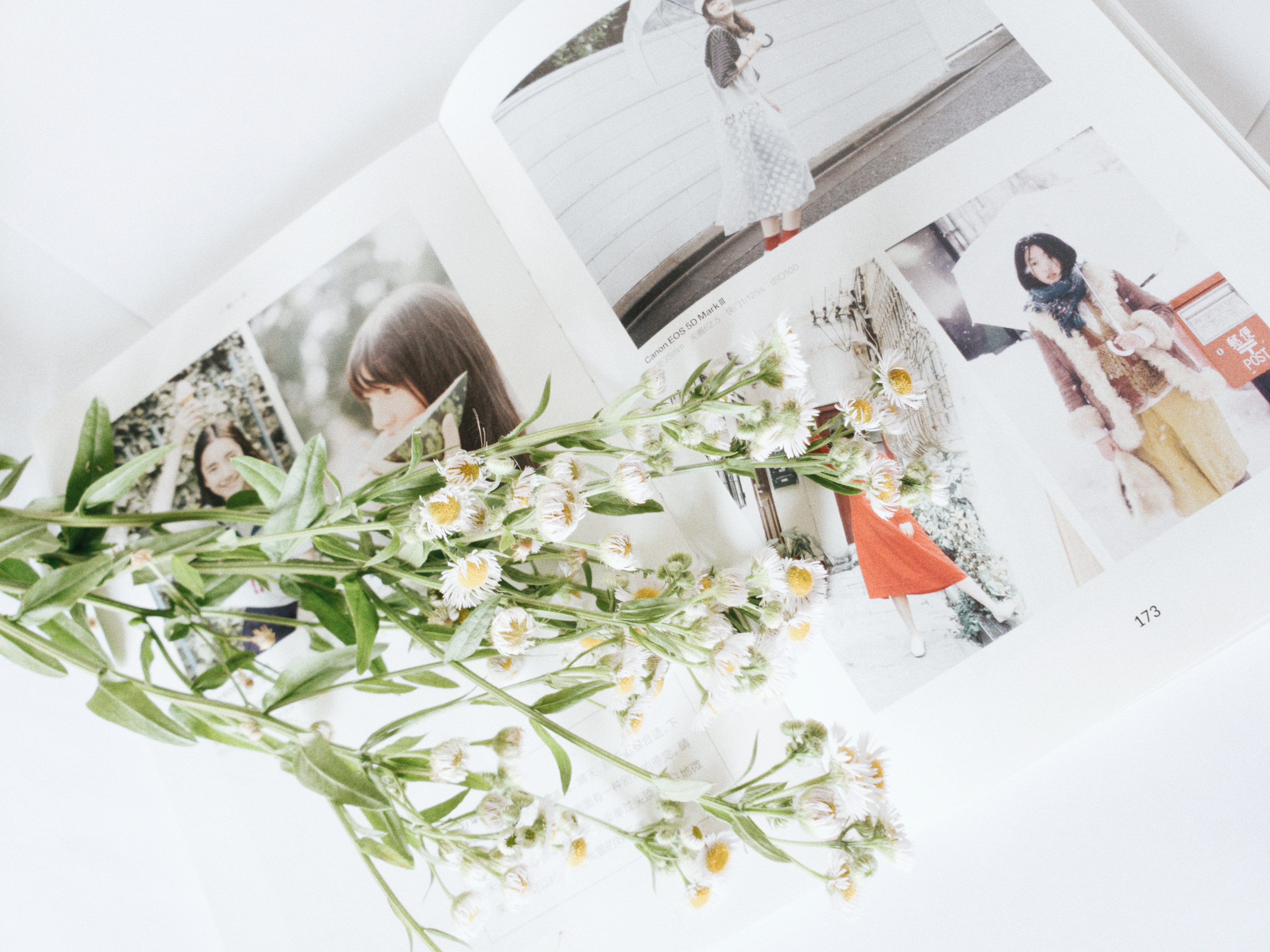 Ein Fotobuch mit Fotos und Blumen darauf.