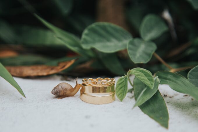 Ein goldener Ring, der auf einem Blatt sitzt.