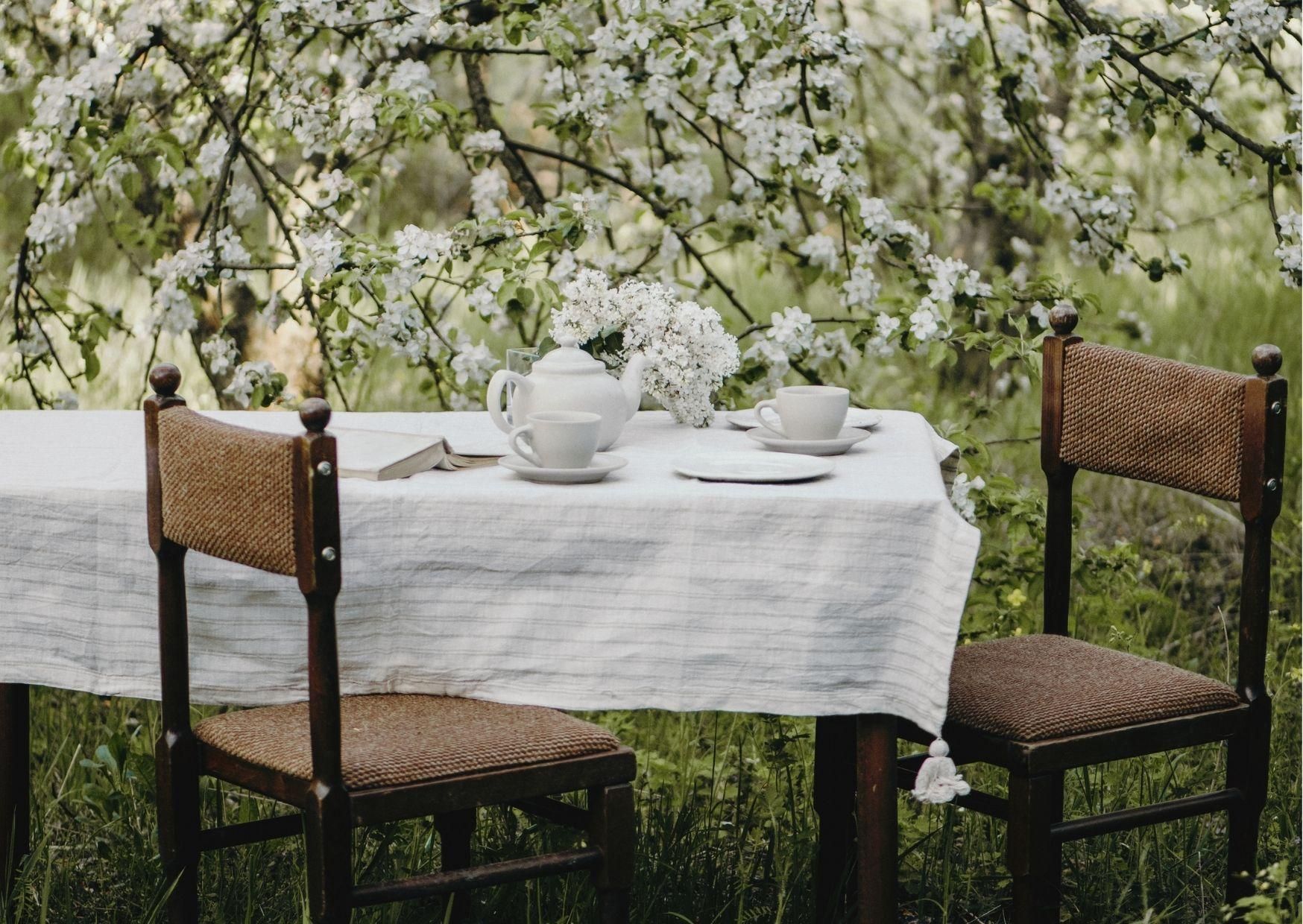 Ein Tisch und Stühle stehen in einem Obstgarten.