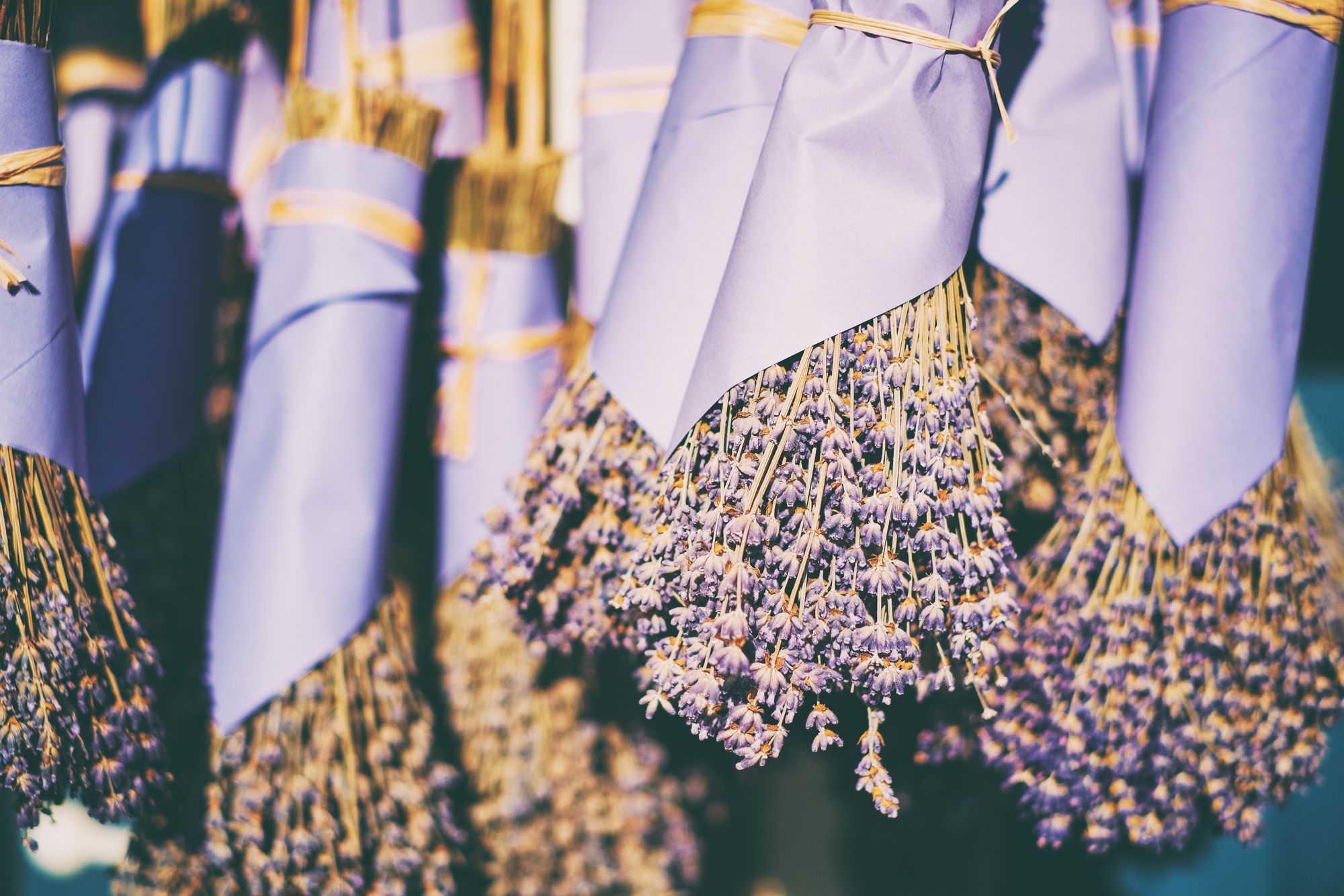 Ein Strauß Lavendelblüten, der an einer Schnur hängt.