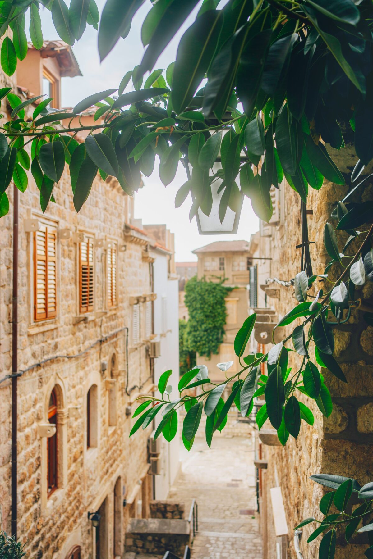 Gäste erkunden die Altstadt mit engen Gassen und mediterranen Häusern.