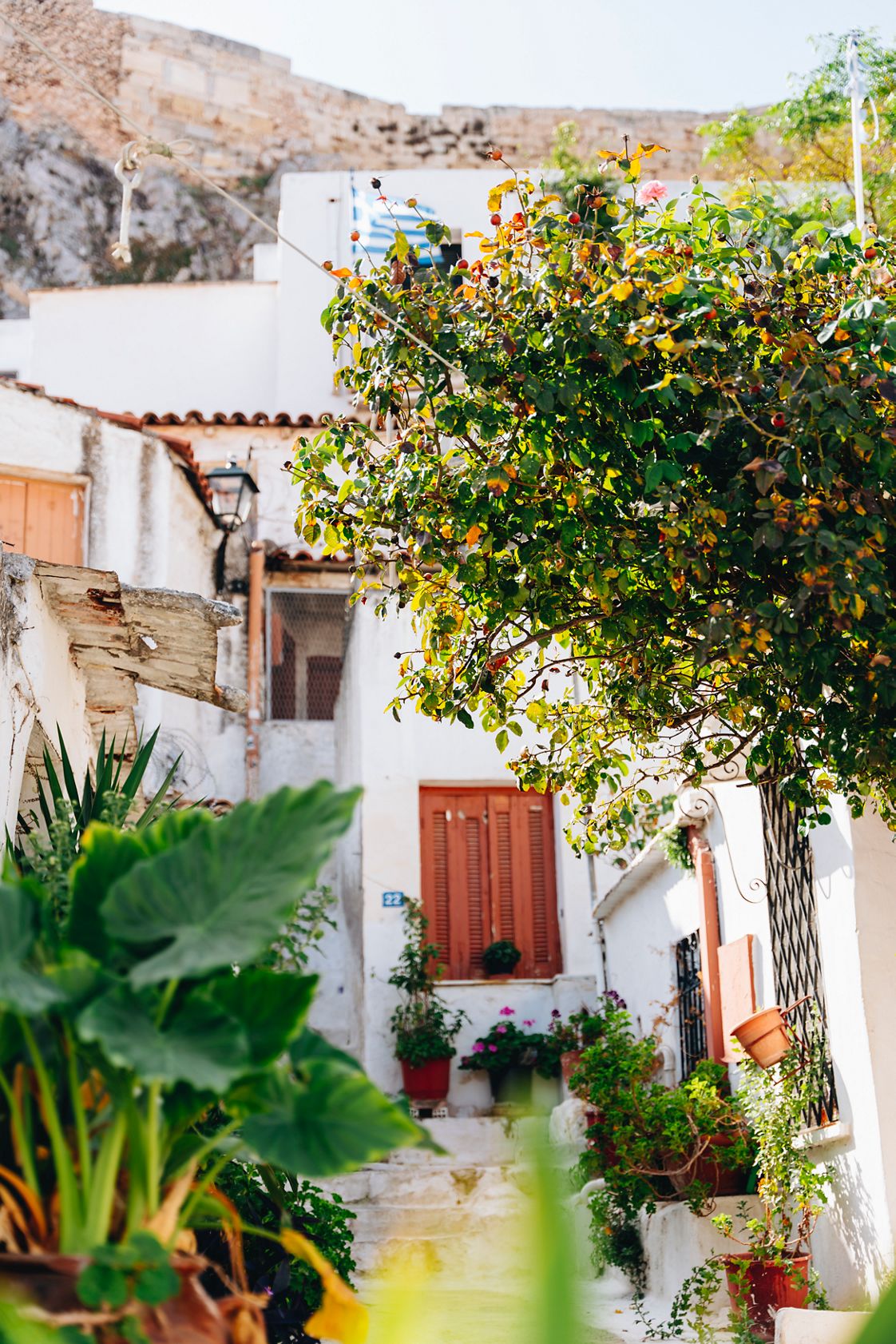 Gäste erleben einen Landausflug und entdecken Sehenswürdigkeiten.